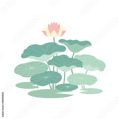 Elegant simplicity lotus bloom amidst lush greenery, a tranquil botanical illustration
