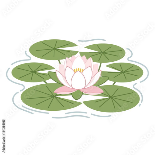 Serene water lily illustration with gentle pink petals and lush green pads in tranquil waters