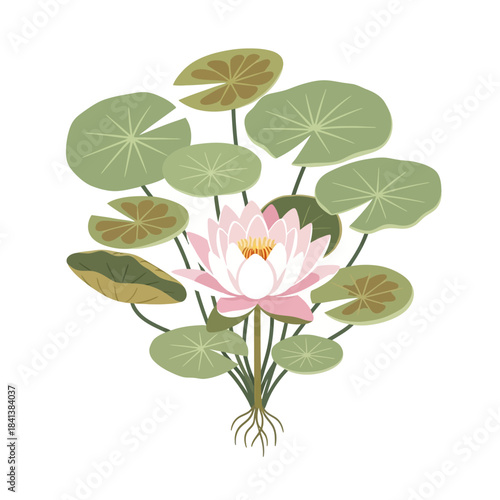 Elegant botanical illustration capturing a delicate pink lotus flower amidst verdant lily pads