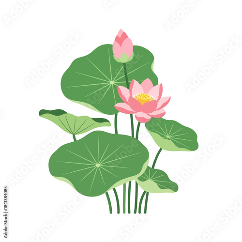Elegant Lotus Blossom Illustration with Lush Green Pads Symbolizing Purity and Serenity