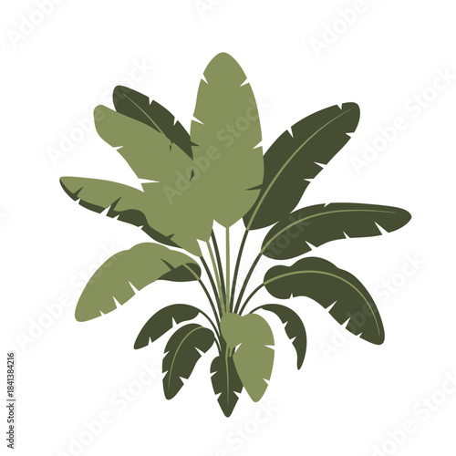 Lush Tropical Foliage: An Exquisite Illustration of Verdant Leafy Plant Design for Creative Projects