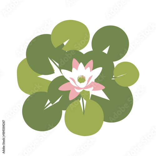Stylized Water Lily Blossom Surrounded by Lily Pads for Serene Visual Appeal