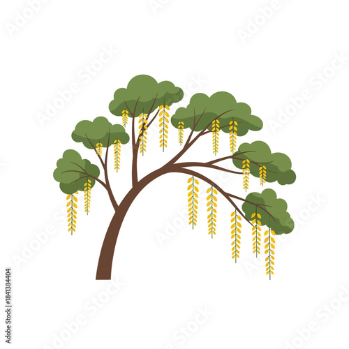 Elegant wisteria tree illustration with cascading floral pendants in soft green hues