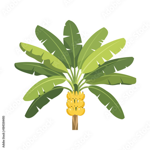 Stylized banana tree with lush foliage and clustered fruit creating tropical vibe with vibrant