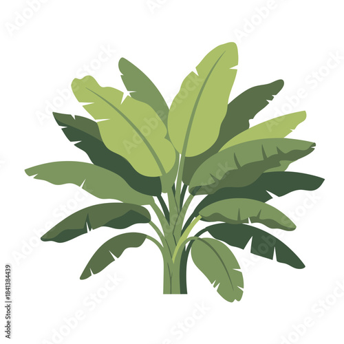 Stylized banana plant illustration showcasing lush green foliage and tropical aesthetic rendering
