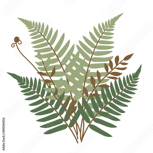 Delicate fronds and stems botanical composition for wallpaper and print design use