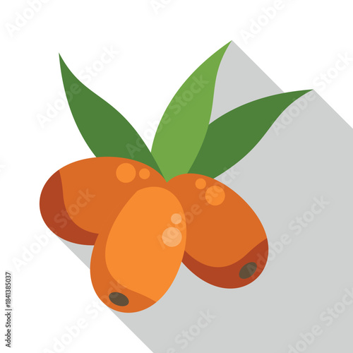Three orange sea buckthorn berries with green leaves on a white background with shadow