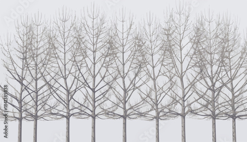 Ethereal minimalist illustration depicting a tranquil winter scene with a harmonious line of leafless trees under a soft, clear sky