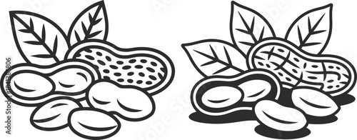 Peanut Nuts with Leaves Icon Vector Illustration.