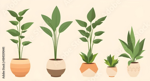 set of decorative plants in pots, indoor houseplants vector illustration, plant pot collection artwork, botanical potted plant illustration pack, green plants pot vector design, modern indoor plant cl