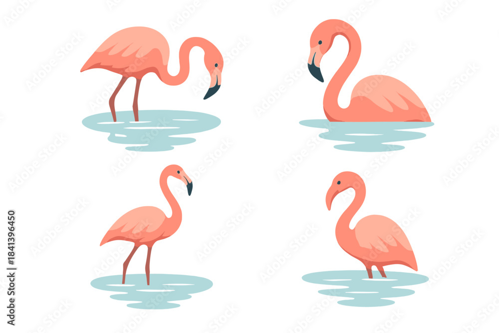 Fototapeta premium Flamingo Reflections. Icons for: a flamingo leaning over pale reflections, a curved neck bending toward glassy blue, a tall wader