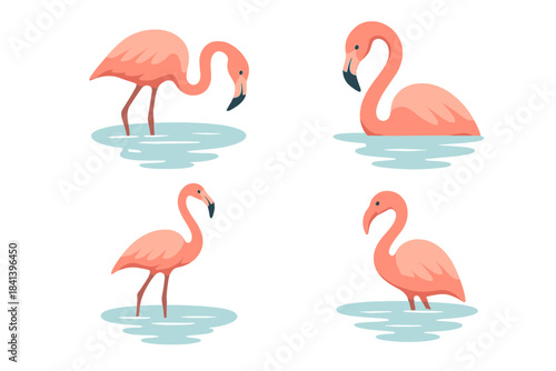 Flamingo Reflections. Icons for: a flamingo leaning over pale reflections, a curved neck bending toward glassy blue, a tall wader