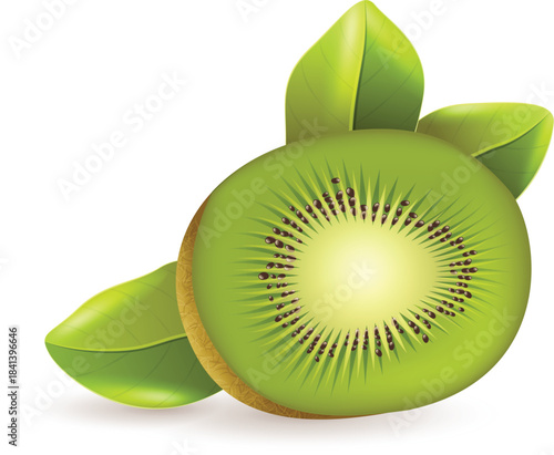 Sliced kiwi fruit 3d realistic vector illustration tropical fresh green juicy exotic food design healthy organic isolated