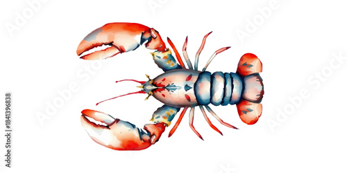Watercolor illustration of lobster, seafood, crustacean, gourmet food, hand drawn, isolated on white background, vector
