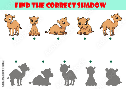 Find the correct shadow puzzle with cute cartoon camel poses, educational matching game for kids promoting logic, visual recognition and early learning skills in flat style