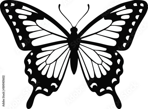 butterfly nature wing pattern icon silhouette for logo and art