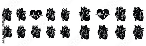 Collection of black and white human heart anatomy icons and electrocardiogram symbols for medical design