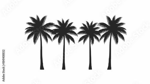 4 Palm Trees Silhouette Image: Elegant Black and White Minimalist Artwork for Design Projects