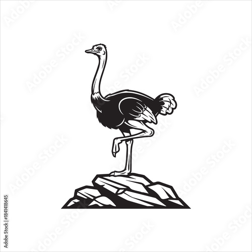 Beautiful ostrich bird vector design art