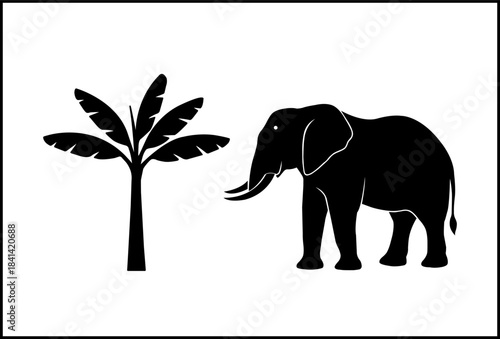 Majestic elephant stands beside tall banana tree silhouette on white background