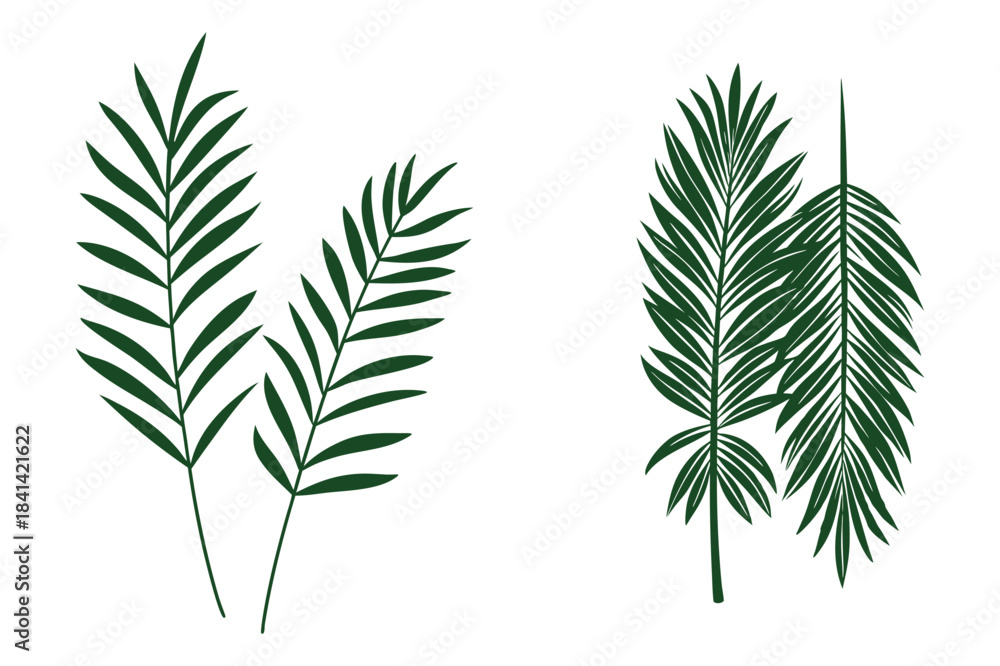 Naklejka premium Double Green Leaf Botanical Illustration, Minimalist Nature Art Vector