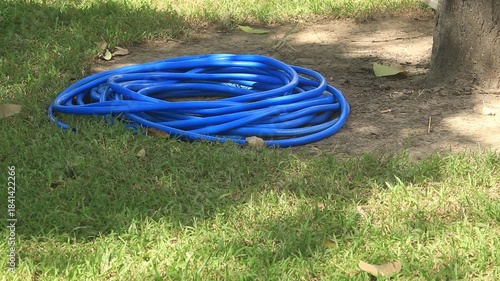 A green garden hose is placed in the garden for watering plants.