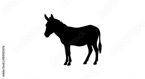 Elegant woman dancing ballet silhouette on a dark background