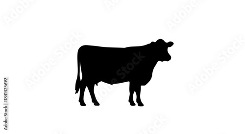 Abstract geometric pattern with a central silhouette