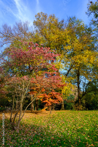 Autumn at Parco Sempione, Milan