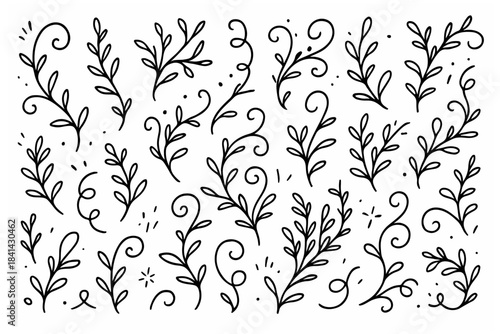 Hand-drawn doodle vector set of vine doodles, created in a fun, sketchy style, isolated on white background
