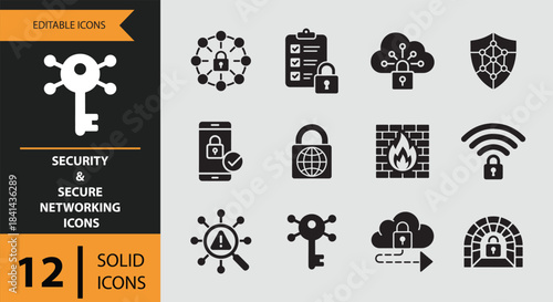 Twelve security and secure networking icons solid icon set isolated on white background