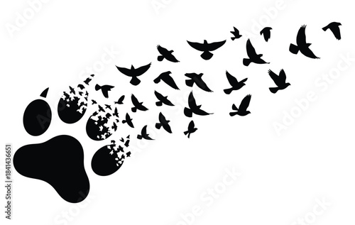 A striking black silhouette of a paw print gracefully transforms and dissolves into a flock of many birds flying freely across a clean white background symbolizing freedom and nature