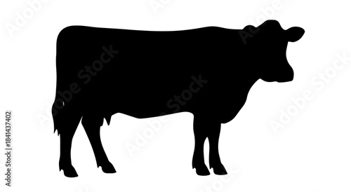 Silhouette of a person walking in the dark silhouette