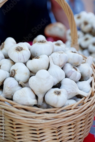 garlic, excellent quality
