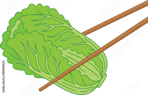 Fresh green vegetable, napa cabbage, cartoon illustration, chopsticks holding lettuce, Asian cuisine, healthy food, organic produce, vegetarian meal, kitchen art