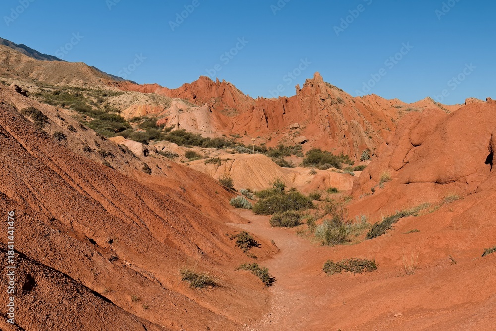 Fototapeta premium Fairytale Canyon (Canyon Skazka) was formed by the erosion of multi colored clays, rocks and minerals. It is located near the southern shore of Issyk Kul Lake in Kyrgyzstan. Asia.