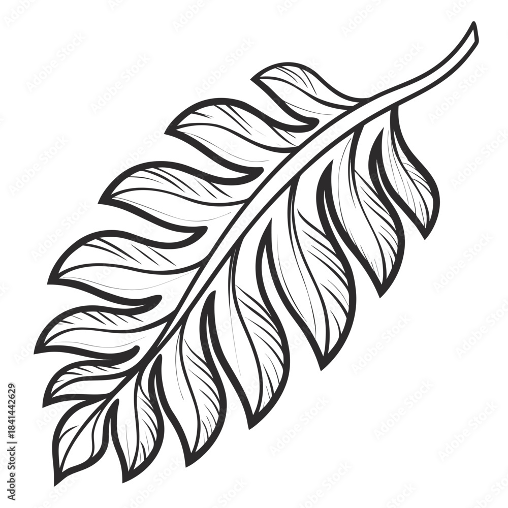 Obraz premium Stylized black and white tropical leaf illustration