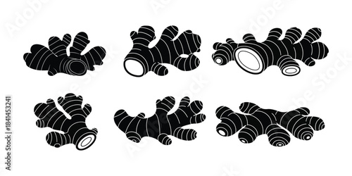 Set of Stylized Black Ginger Root Icons for Culinary and Medicinal Design Elements