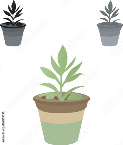 Healthy Green Plant in Pot With Multiple Pots on White Background