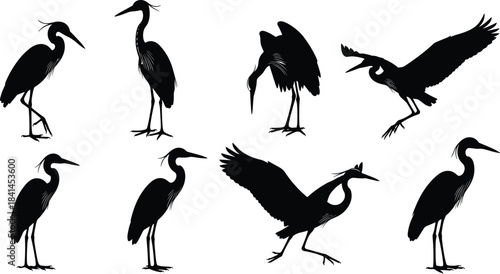 Elegant heron and crane bird silhouettes collection, standing and flying poses, wildlife illustration set, black vector artwork for nature design