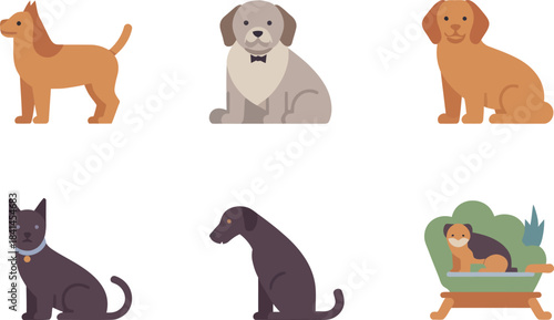 Collection of diverse dogs in various poses, showcasing different breeds and colors.