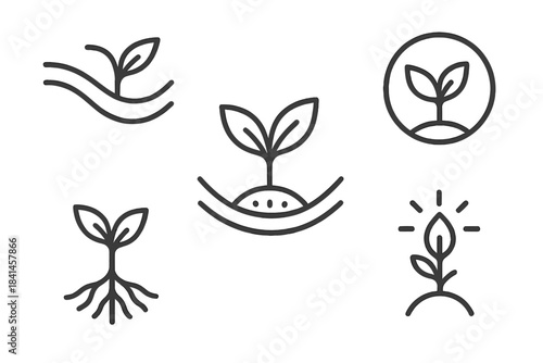 Series of drawings of plants, including a seedling, a tree, and a leaf