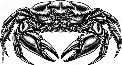 Crab Seafood Animal Vector Illustration