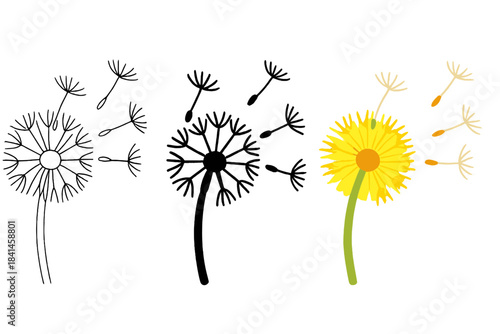 Drawing of a flower with a black and white outline