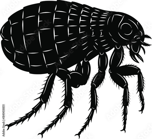 Flea Insect Parasite Vector Illustration
