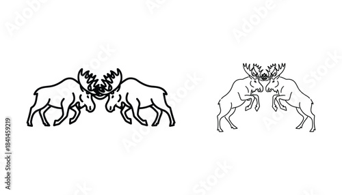 Vintage illustration of two bison facing each other in a confrontational pose