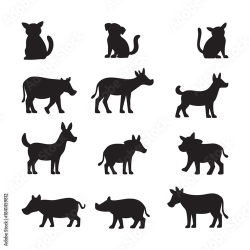 Animal silhouettes highlight differences in body shapes and features
