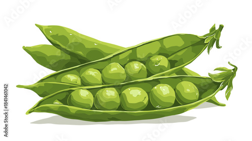 Vector illustration of green peas in the shell isolated on a white background