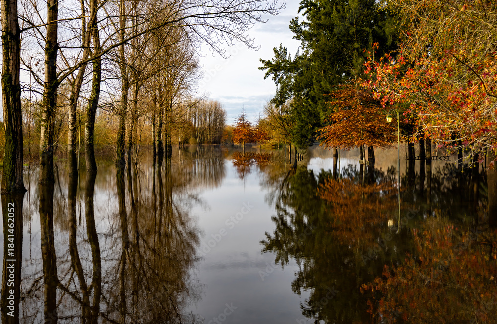 Fototapeta premium autumn trees reflected in water