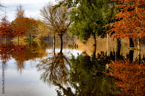 autumn in the forest